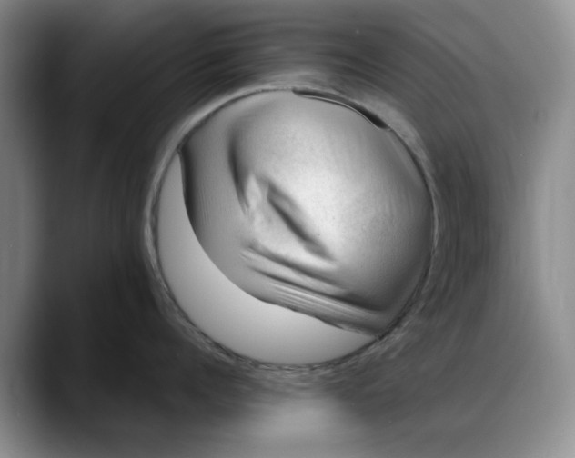 X0000088160960200705291909