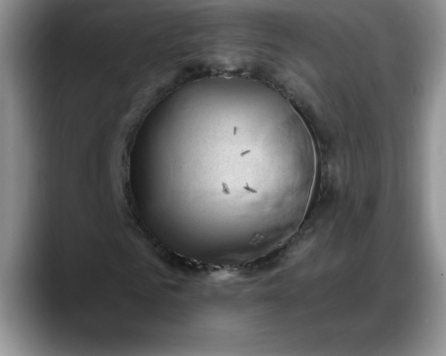 X0000088160961200705291908