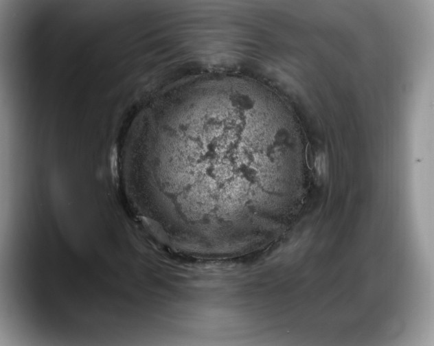 X0000088160963200705291908