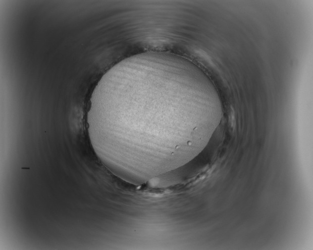 X0000088160964200705291908