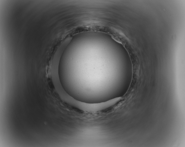 X0000088160965200705291908