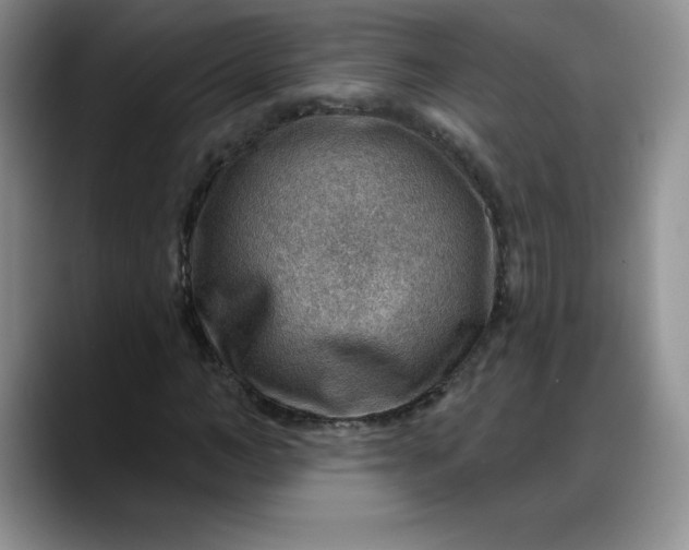 X0000088160966200705291908