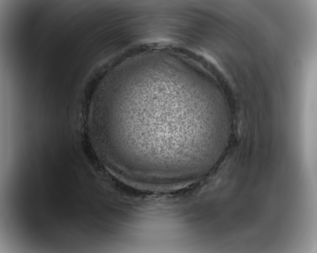 X0000088160967200705291908