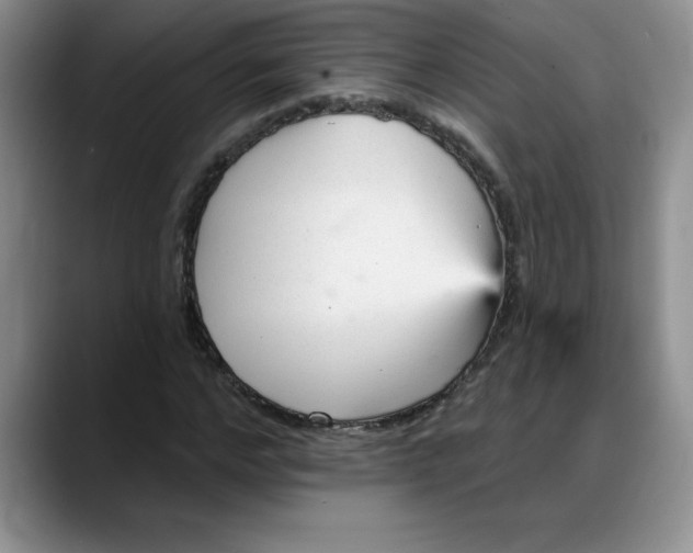 X0000088160968200705291908