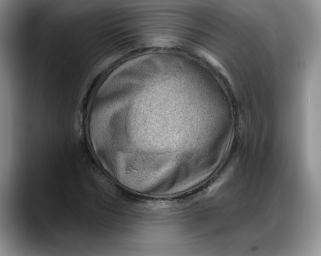 X0000088160970200705291908