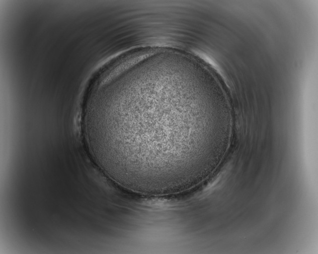 X0000088160971200705291908