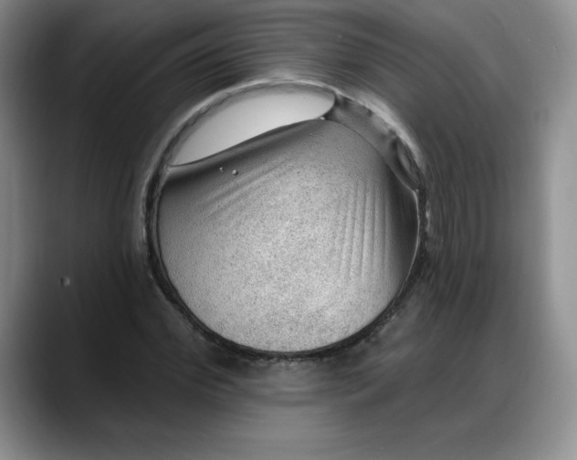 X0000088160972200705291908