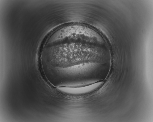 X0000088160975200705291908