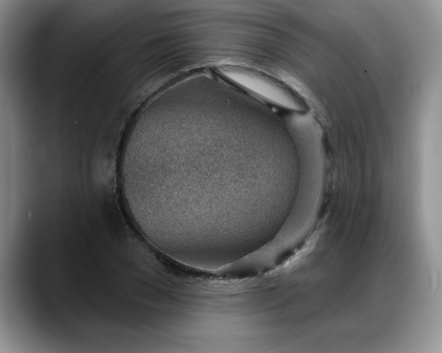 X0000088160977200705291908