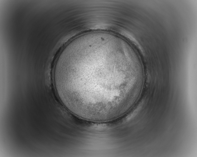 X0000088160978200705291908