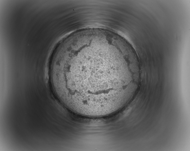 X0000088160979200705291908