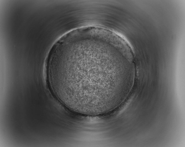 X0000088160983200705291908