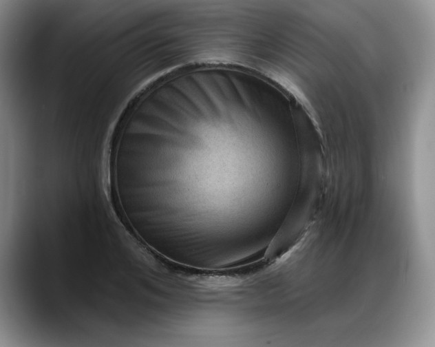 X0000088160984200705291908