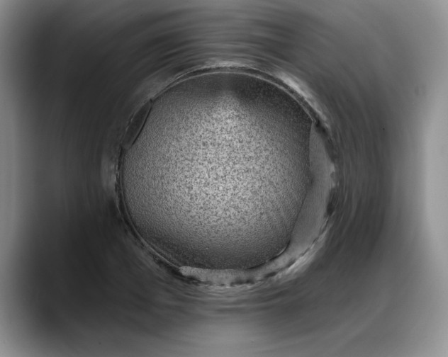 X0000088160985200705291908