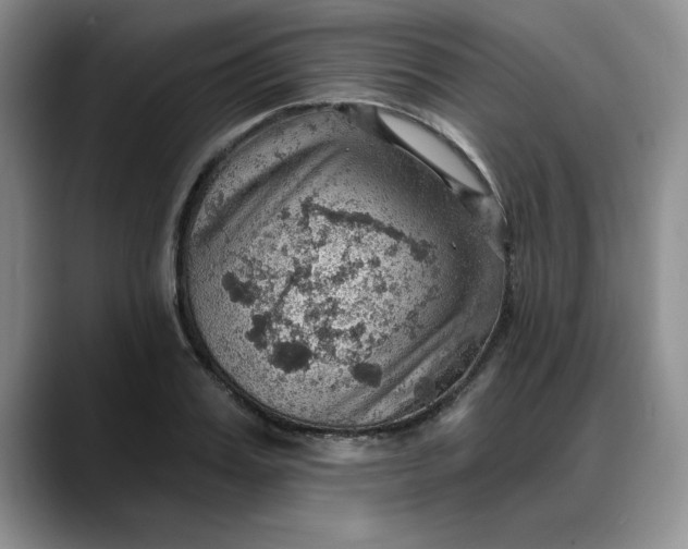 X0000088160987200705291908
