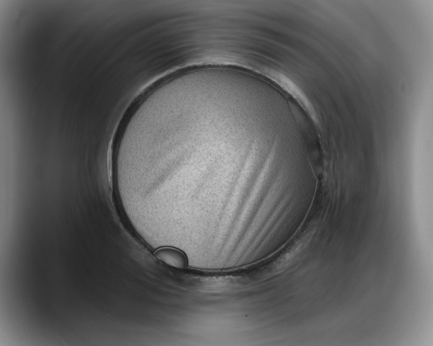 X0000088160988200705291908
