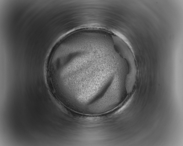 X0000088160989200705291908