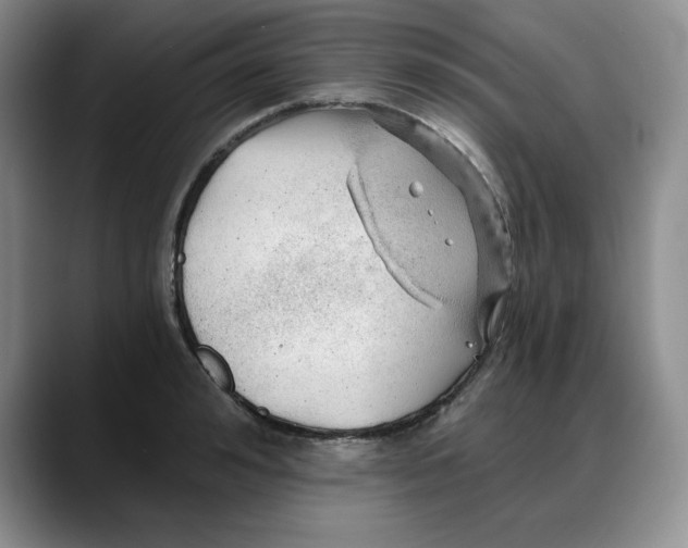 X0000088160992200705291908
