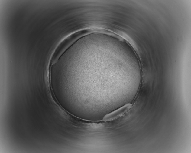 X0000088160996200705291908