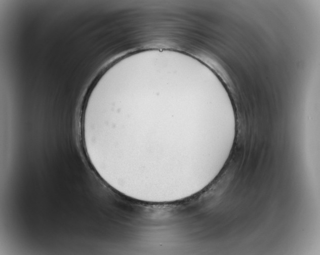 X0000088161000200705291907