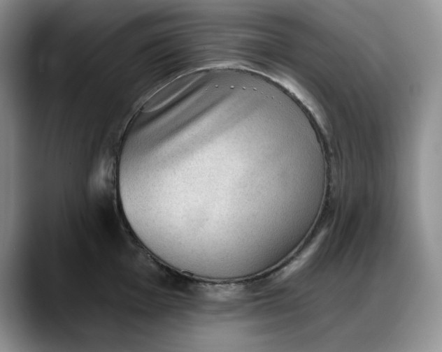 X0000088161001200705291907