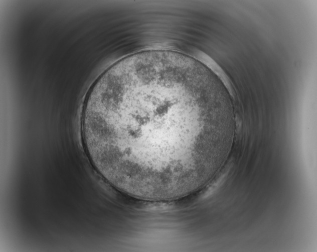 X0000088161002200705291907