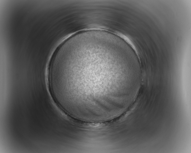X0000088161003200705291907