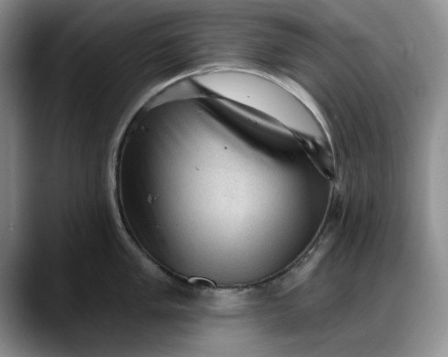 X0000088161005200705291907