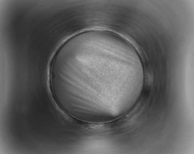 X0000088161006200705291907