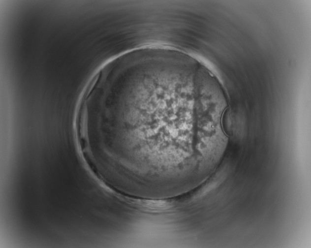 X0000088161007200705291907
