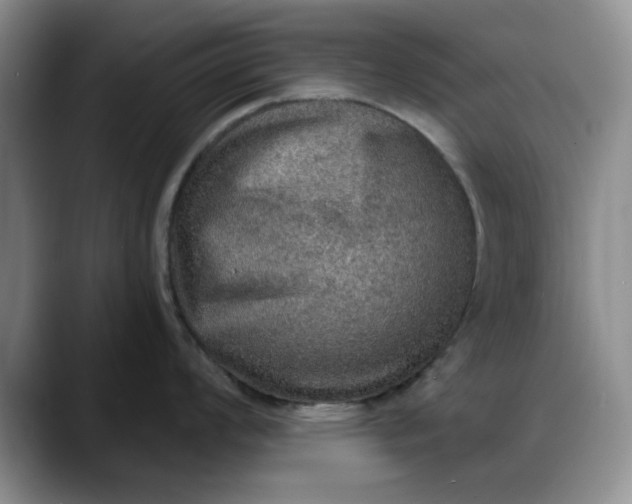 X0000088161008200705291907