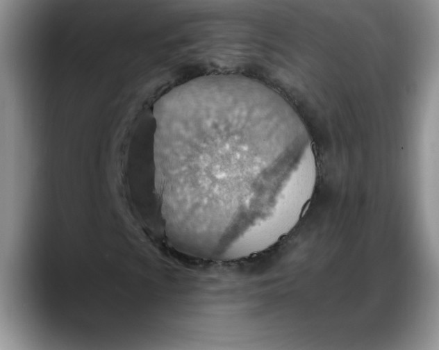 X0000088161009200705291907