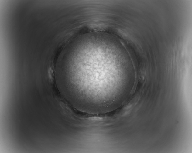 X0000088161010200705291907
