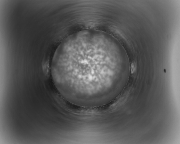 X0000088161011200705291907