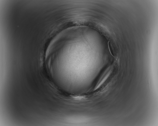 X0000088161012200705291907