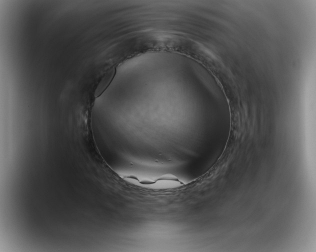 X0000088161013200705291907