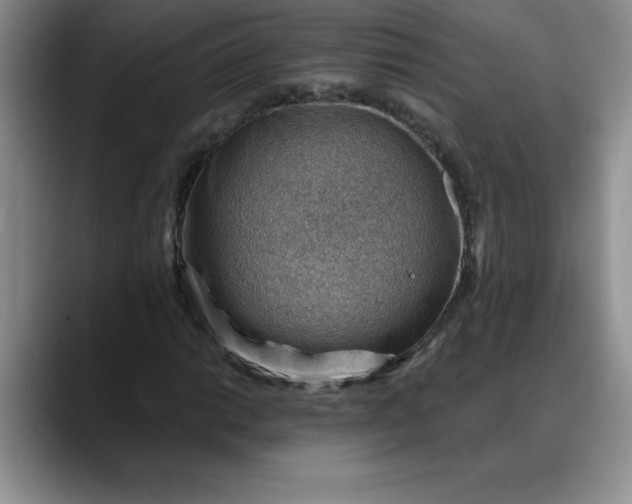 X0000088161014200705291907