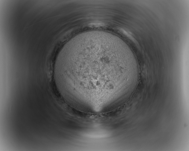 X0000088161015200705291907