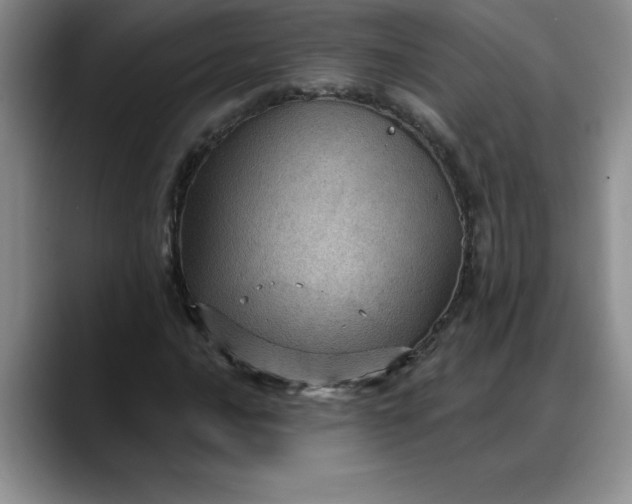 X0000088161016200705291907