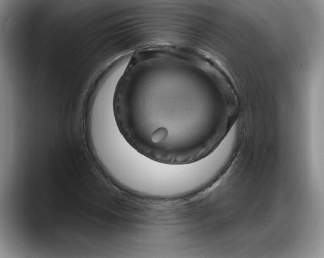 X0000088161018200705291907