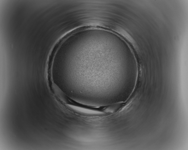 X0000088161020200705291907
