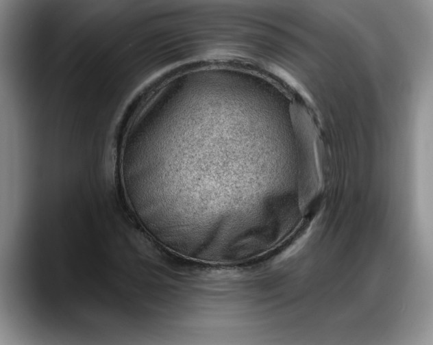 X0000088161021200705291907