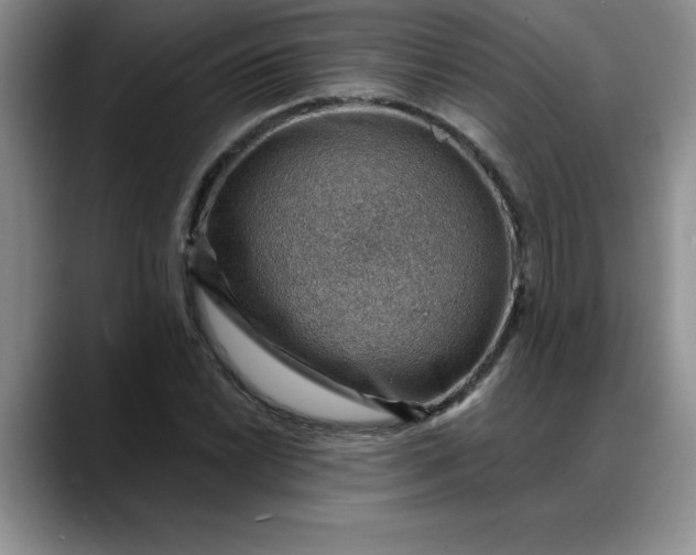 X0000088161022200705291907