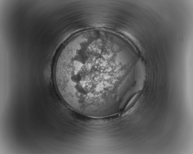 X0000088161023200705291907
