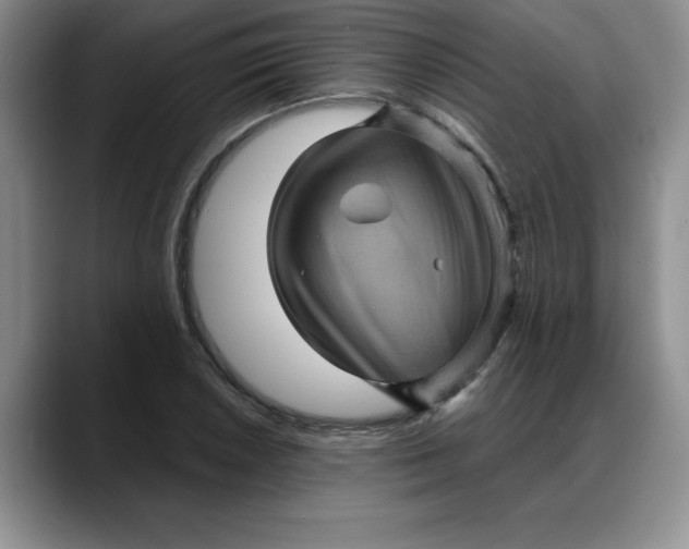 X0000088161026200705291907