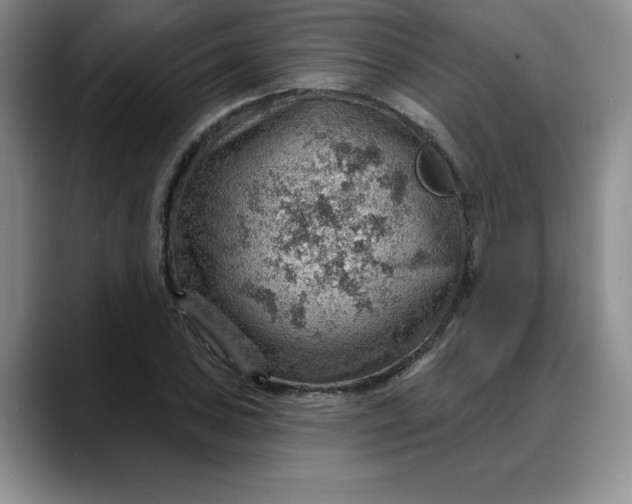 X0000088161027200705291907