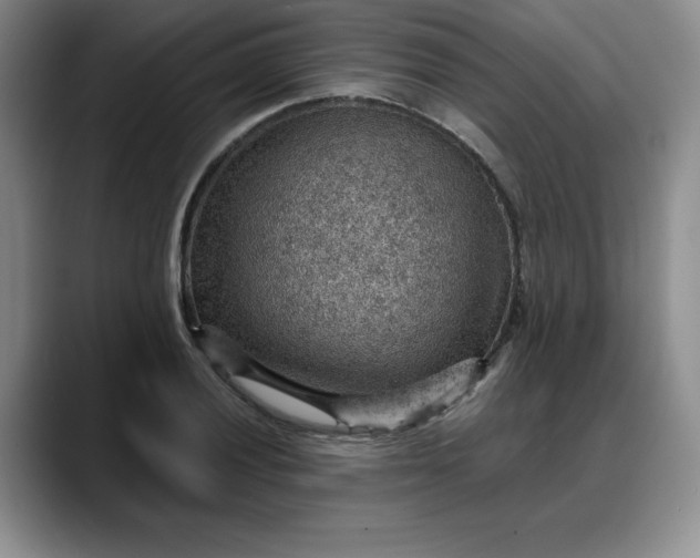 X0000088161028200705291907