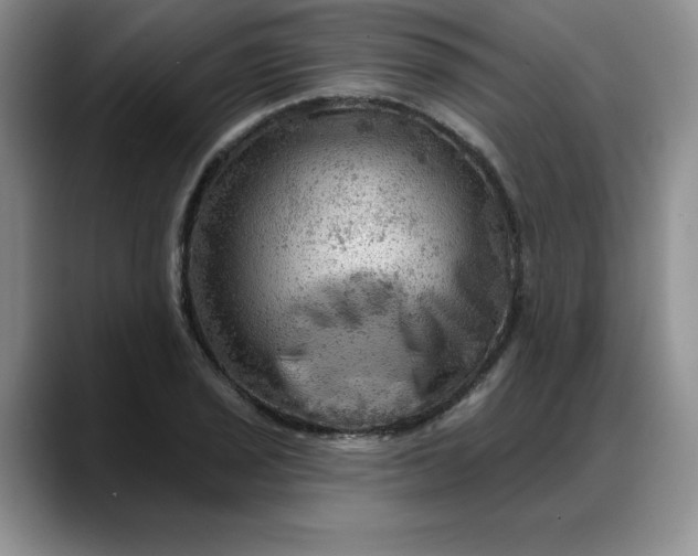 X0000088161029200705291907