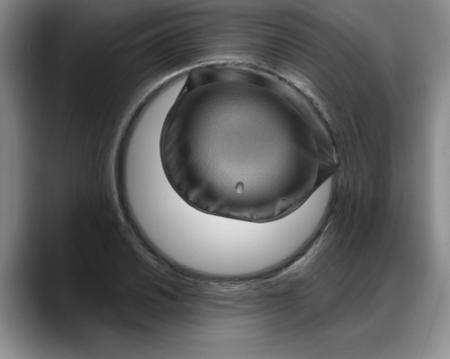 X0000088161030200705291907