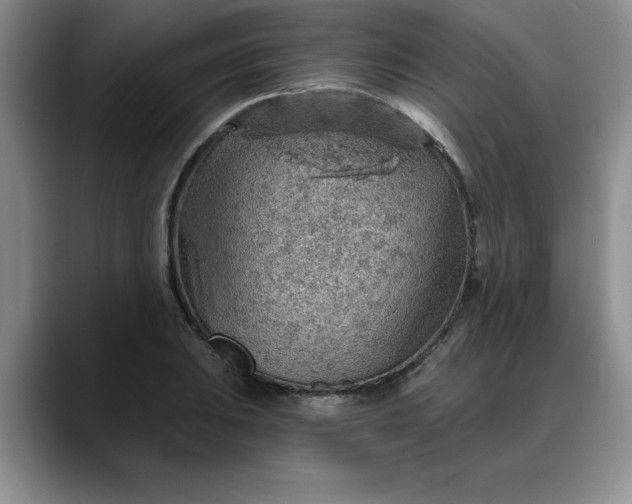 X0000088161031200705291907